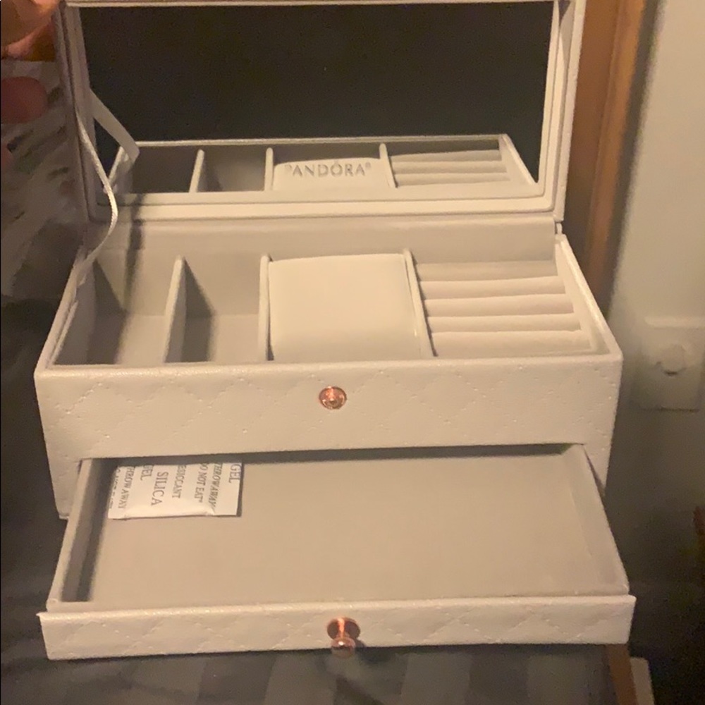 Leather Pandora Jewelry box!